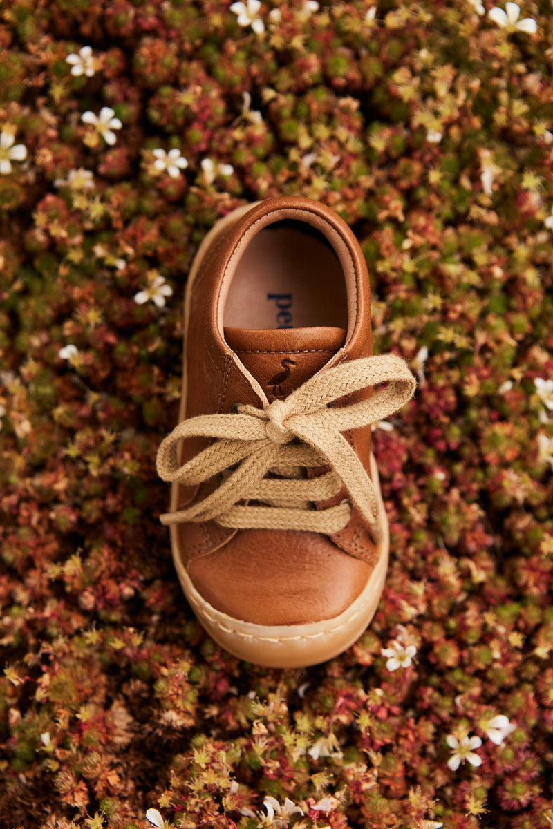 Petit Nord Everyday shoe Lace Sneakers Cognac 002