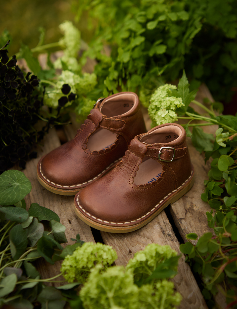 Petit Nord T-Bar Scallop T-bars and Ballerinas Hazelnut 069