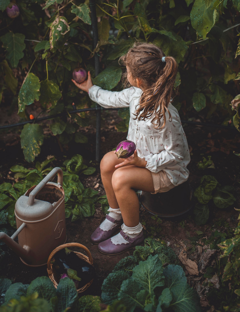 Petit Nord Scallop Mary Jane T-bars and Ballerinas Lavender 061